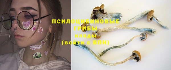 MESCALINE Осинники