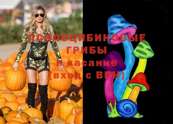 МДПВ Остров