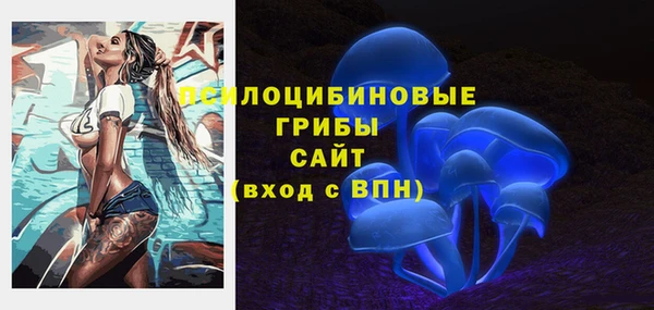 MESCALINE Осинники