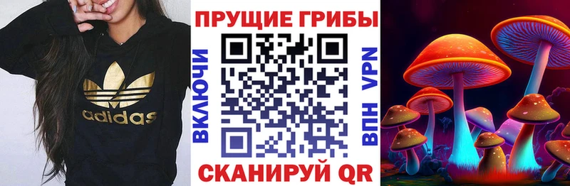 Галлюциногенные грибы ЛСД  мориарти как зайти  Бахчисарай 