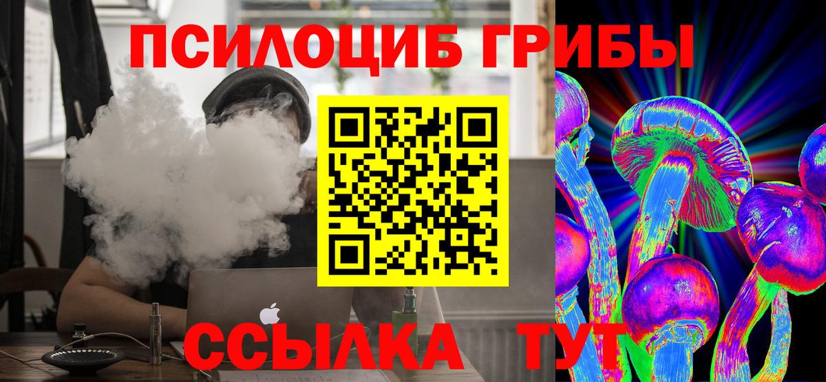 Псилоцибиновые грибы Psilocybine cubensis Бахчисарай