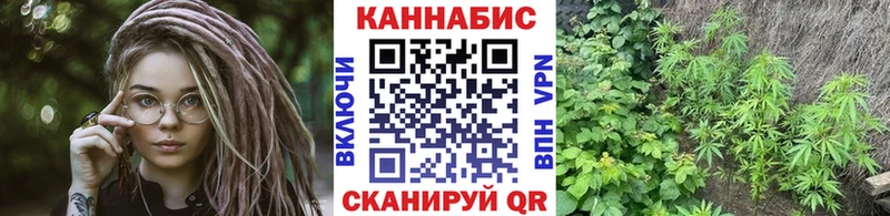 Бошки марихуана Amnesia  магазин  наркотиков  Бахчисарай 